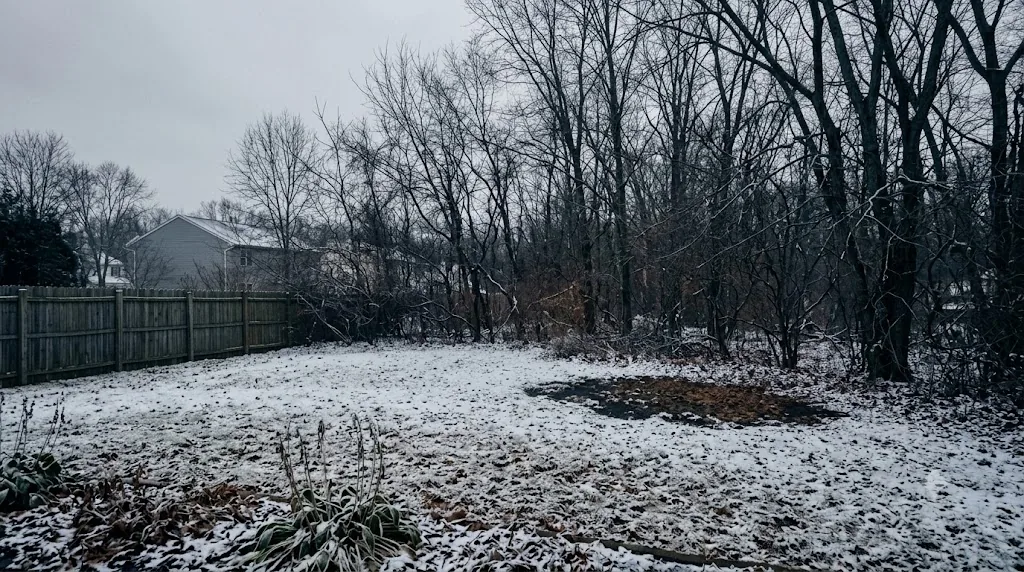 Snow-dusted backyard in winter with bare trees and a patch of exposed leaf litter along the wood line